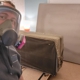 Optimum Pest Pros