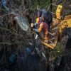 Lumberjack Tree Service, LLC gallery