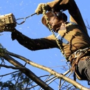 Tree Barber Enterprises, Inc - Arborists