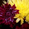 Healing Touch Chiropractic gallery