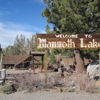 Hayden Cabin/Mammoth Museum gallery