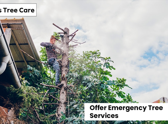 Al's Tree Care - Terrigal, NSW. Offer Emergency Tree Services
