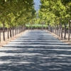 Stonestreet Winery gallery