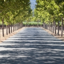 Stonestreet Winery - Wineries