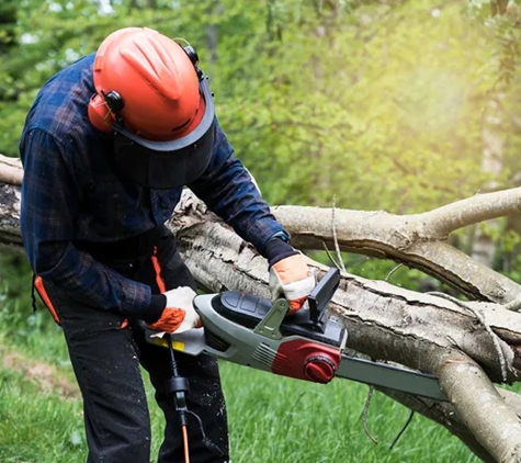 Woodstock Tree and Stump Removal - Coldstream, VIC