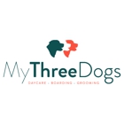My Three Dogs - Dorchester