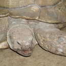 Sawnee Animal Clinic - Veterinary Clinics & Hospitals
