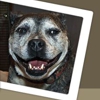 Meridian Animal Hospital gallery