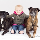 Einstein Dog Training Oakland County - Pet Training