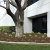 Future Landscape Service gallery