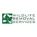 Wildlife Removal Services - Pest Control Services
