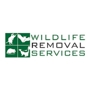 Wildlife Removal Services