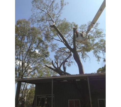 Bill's Tree Service Pty Ltd