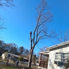 Robinsons Tree Service