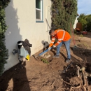 Higuera Tree Care - Tree Service