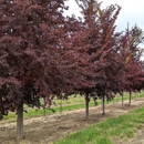 North Branch Nursery - Garden Centers