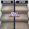 Oxi Fresh Carpet Cleaning gallery