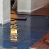 Dry County Restoration gallery