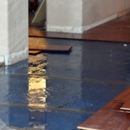 Dry County Restoration - Water Damage Restoration