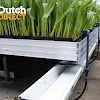 Maine Commercial Hydroponic gallery