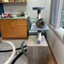 VCA Columbia Animal Hospital at Hickory Ridge - Veterinarians