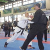 Center for Israeli Martial Arts gallery