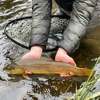 Wild Montana Anglers gallery
