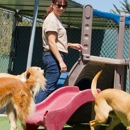 Acres Of Animals Boarding Kennel - Pet Boarding & Kennels