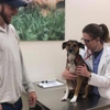 Wellcare Veterinary Services gallery