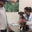 Wellcare Veterinary Services - Veterinarians