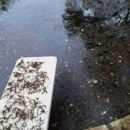 Pool Tech - Swimming Pool Repair & Service