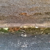 Gallery Image Number 8