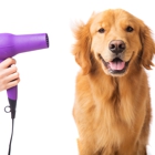 Canine Couture Pet Grooming
