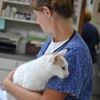 Animal Hospital of North Myrtle Beach gallery
