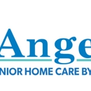 Visiting Angels - Eldercare-Home Health Services