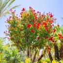 Moon Valley Nursery Corporate Offices - Office Buildings & Parks