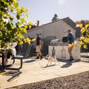 ReNew on Summerfield - Apartments
