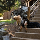 Camp Happy Paws - Hostels
