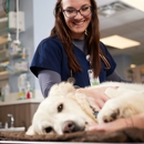 Emergency Animal Hospital of Crystal Falls