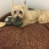 Little Paws Bed & Bath gallery