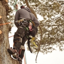 Nh Forestry Mulching And Construction - General Contractors