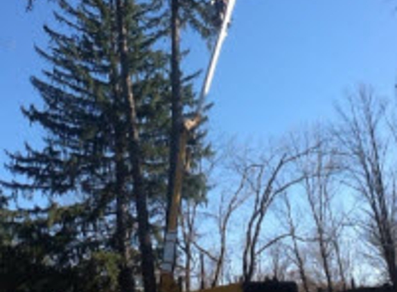 Nordmarks Tree Service - Sciota, PA