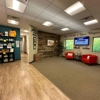 Family Chiropractic Cranberry Township - Prenatal | Pediatric | Gonstead gallery