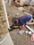 I Do Plumbing And Gas - Plumbers & Gasfitters