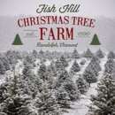 Fish Hill Christmas Tree Farm - Christmas Trees
