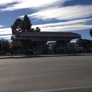 Photo #11