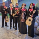 Mariachi Mi Jalisco - Musicians