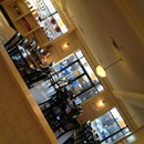 D'amico & Sons - American Restaurants