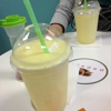 Papaya gallery
