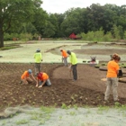 Pizzo Native Plant Nursery